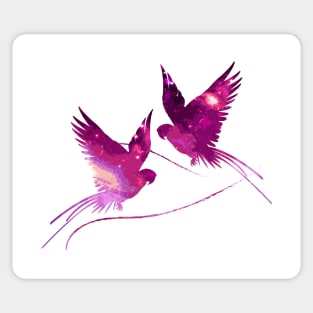 Two Pink Birds Sticker